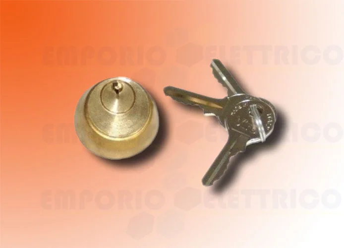 faac cilindro interno con n.2 llaves para electrocerradura 712651001/36