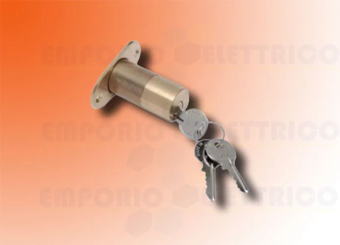 faac cilindro externo con n.2 llaves para electrocerradura 712652001/36